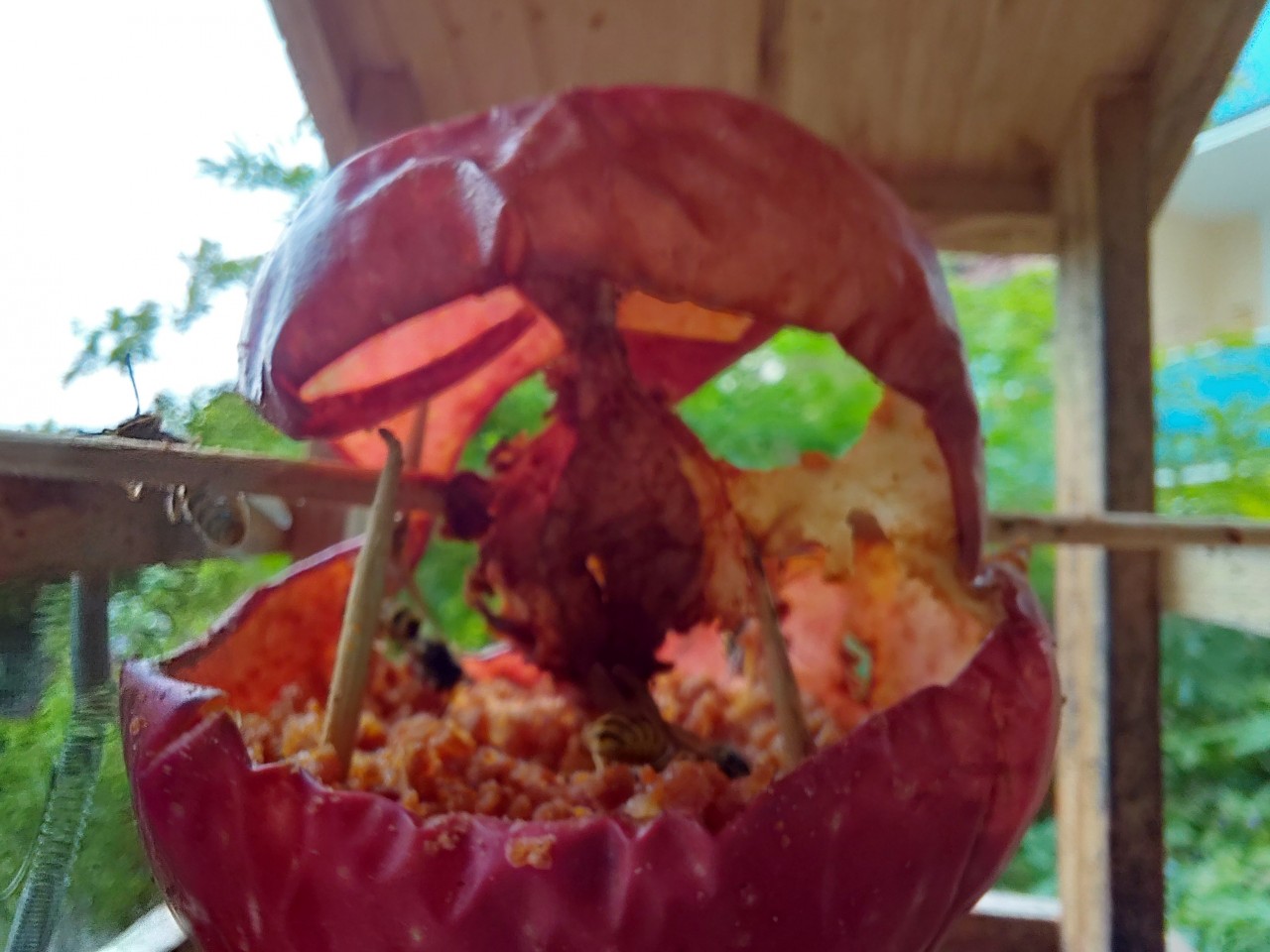 Nur noch die Außenhaut vom Apfel erkennbar!