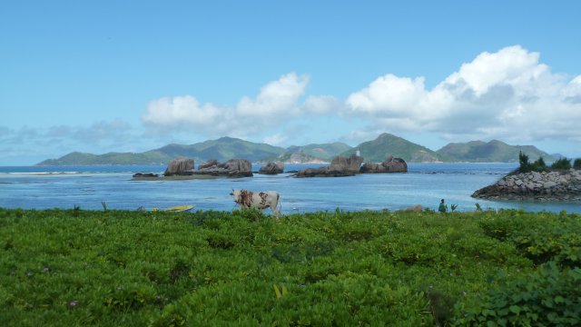 Landbesuch auf der Insel "La Digue"